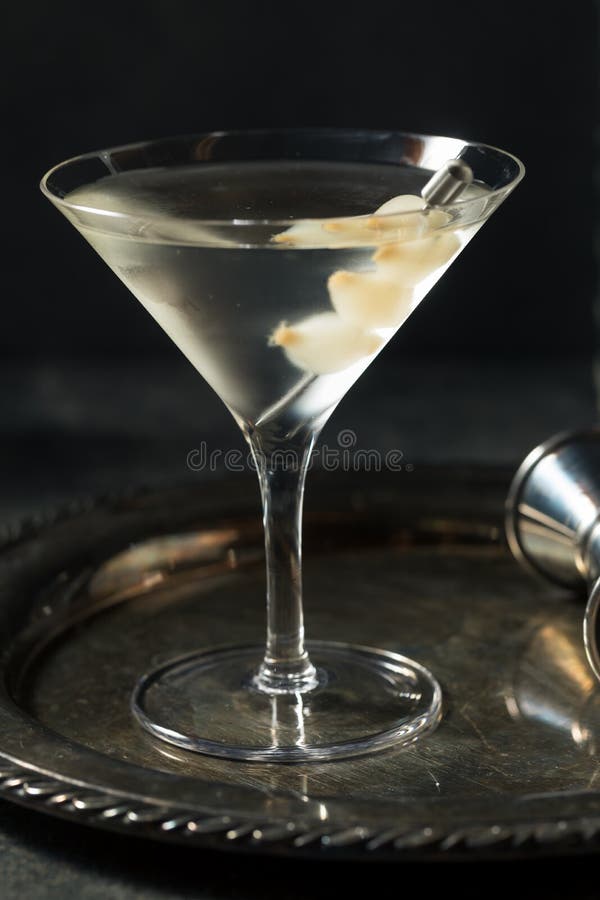Boozy Dry Gin Gibson Martini Foto de archivo Imagen de refresco