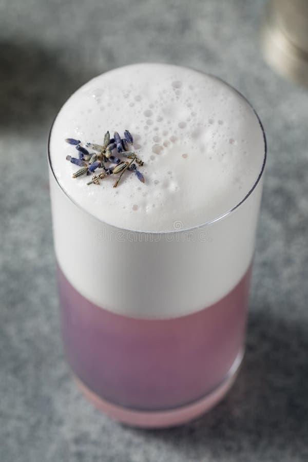 Boozy Purple Lavender Gin Fizz Cocktail Stock Photo Image of slice, bubbles 267328876