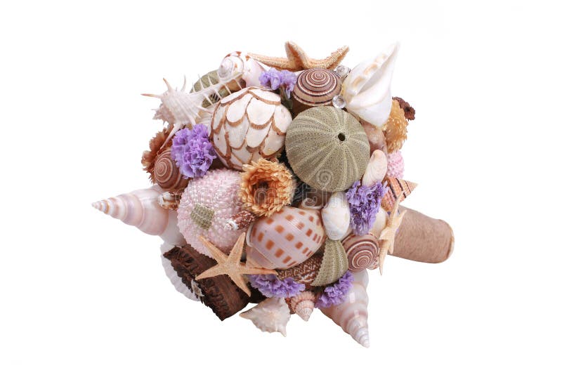 Boquet delle coperture del mare immagine stock libera da diritti Boquet delle coperture del mare immagine stock libera da diritti