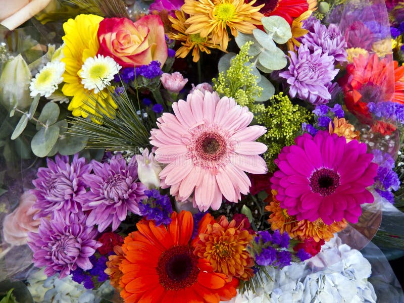 Boquet of flowers stock photo. Image of daisy, pink, needles - 35486782