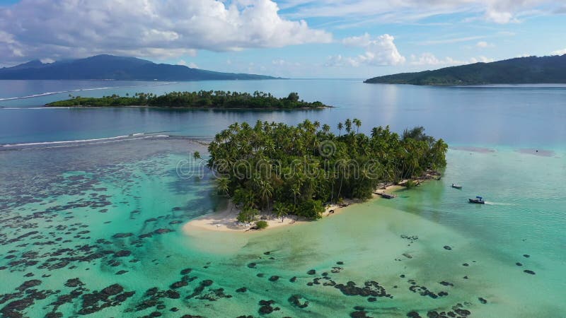 Bora bora drone vidéo aérienne de small island paradise. Icône de vacances plage île privée motu avec palmiers banque de vidéos