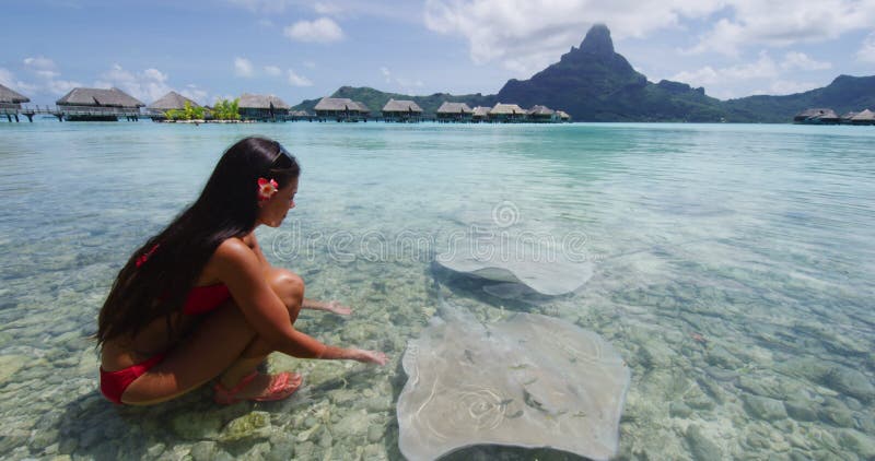 Bora bora-turister med snål och vildlevande natur i fransk polynesia