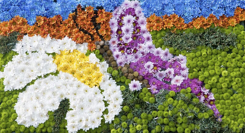 Image of a butterfly made of flowers. Image of a butterfly made of flowers