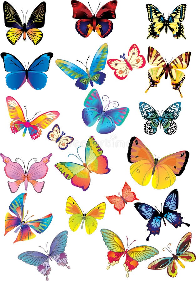 Borboletas coloridos diferentes - ilustração do vetor Borboletas coloridos diferentes - ilustração do vetor