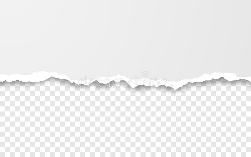 Borda de papel rasgada horizontal Ripped esquadrou tiras horizontais do Livro Branco Ilustra??o do vetor