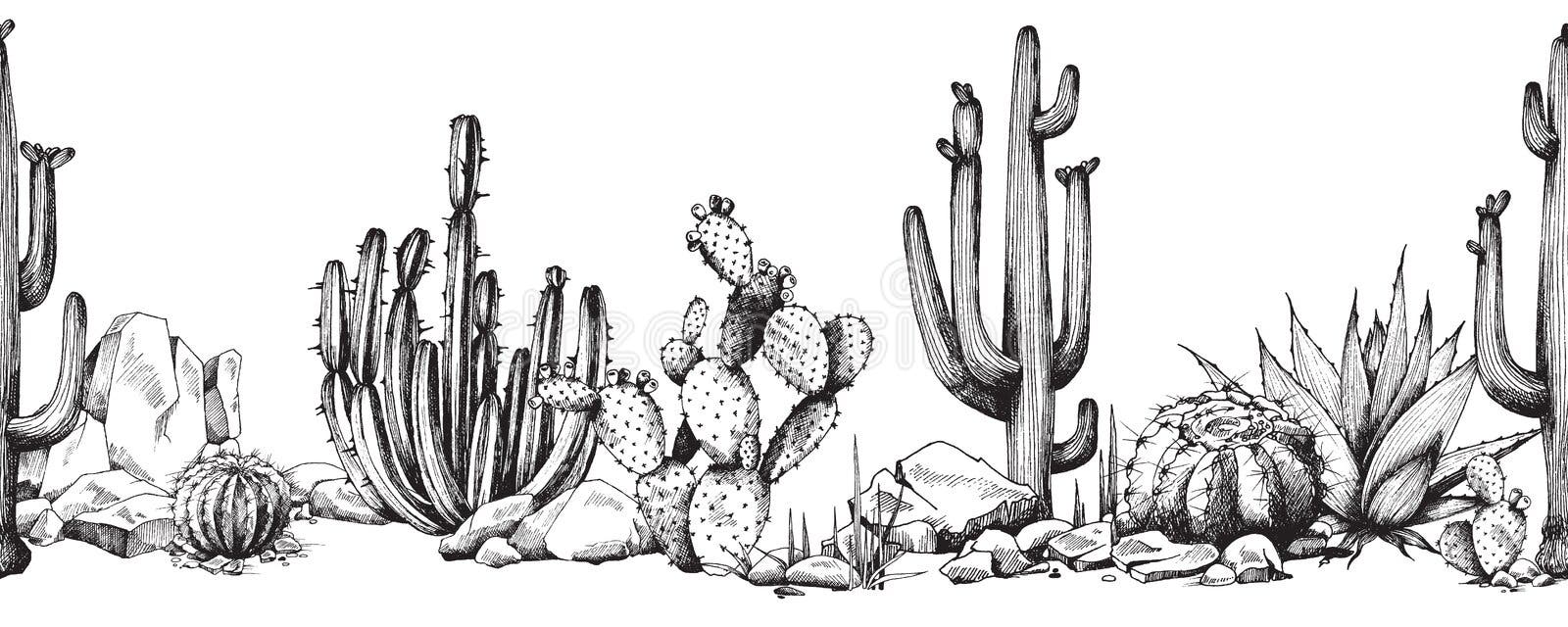 Cacto Do Deserto Ou Planta Cactos De Ilustração Isolada Do Vetor Plano Do  Clima árido. Ilustração do Vetor - Ilustração de verde, naughty: 241917513