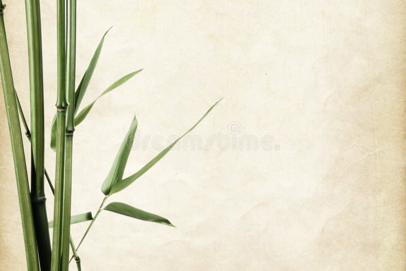 Border of bamboo leaves on paper