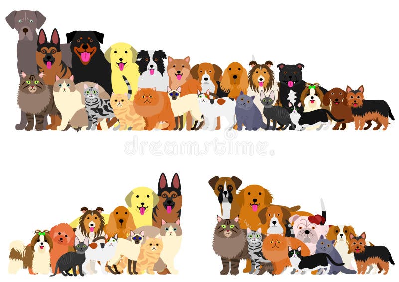 Border of various dogs and cats arranged in order of height. Border of various dogs and cats arranged in order of height.