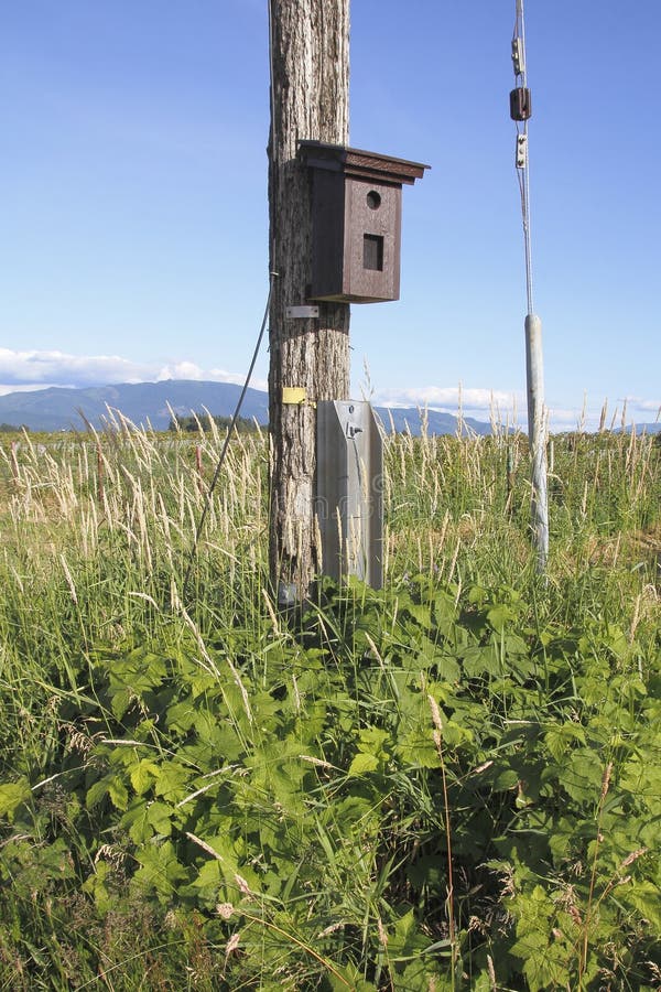 Border Instrumentation royalty free stock image