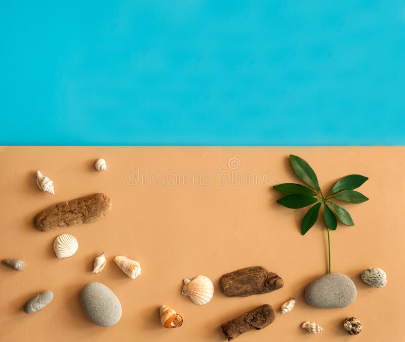 The border is made of tropical green palm leaves, shells, sea stones and pieces of wood washed ashore on a beige and light blue b stock photos The border is made of tropical green palm leaves, shells, sea stones and pieces of wood washed ashore on a beige and light blue b stock photos