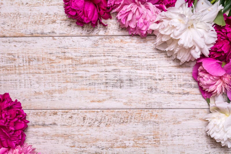 Border of peonies on a wooden background with empty space for text