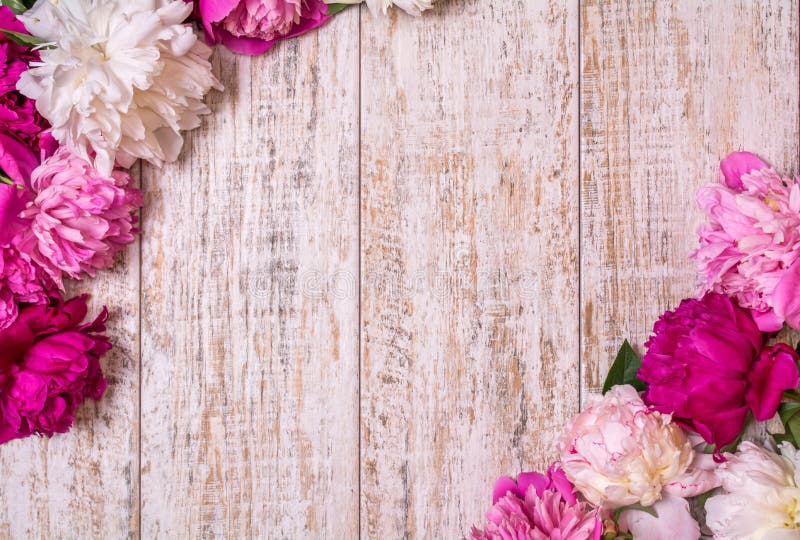 Border of peonies on a wooden background with empty space for text