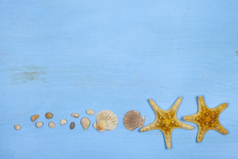 Border of seashells, starfish and sea pebbles