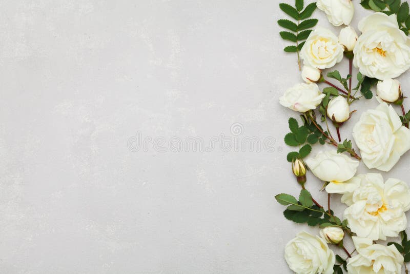 Border of white rose flowers and green leaves on light gray background from above, beautiful floral pattern, flat lay