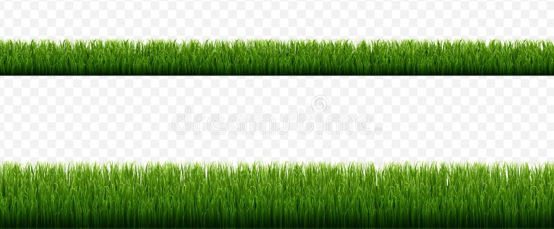 Bordes de hierba verde con fondo transparente aislado