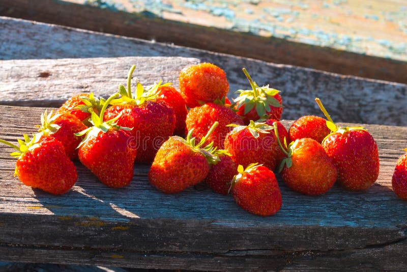 Bordi anziani e bacche succose mature della fragola nel sole luminoso di estate fuori dei locali fotografie stock Bordi anziani e bacche succose mature della fragola nel sole luminoso di estate fuori dei locali fotografie stock