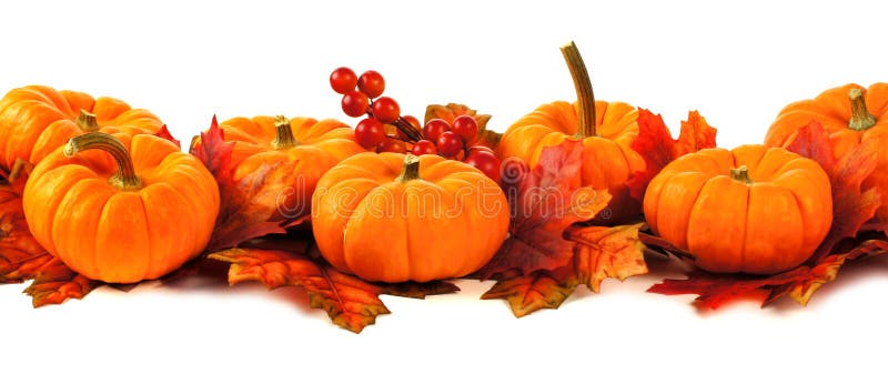 Bordo di autunno immagine stock libera da diritti Bordo di autunno immagine stock libera da diritti
