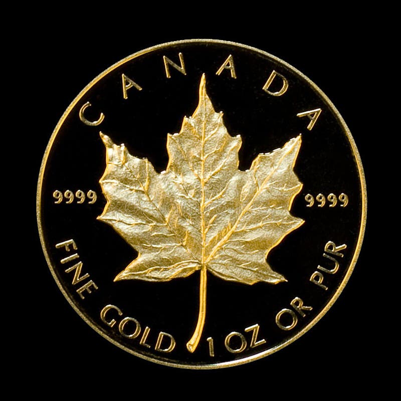 Baixe Ilustração de Moedas de Ouro com Folha de Bordo Canadense PNG -  Creative Fabrica