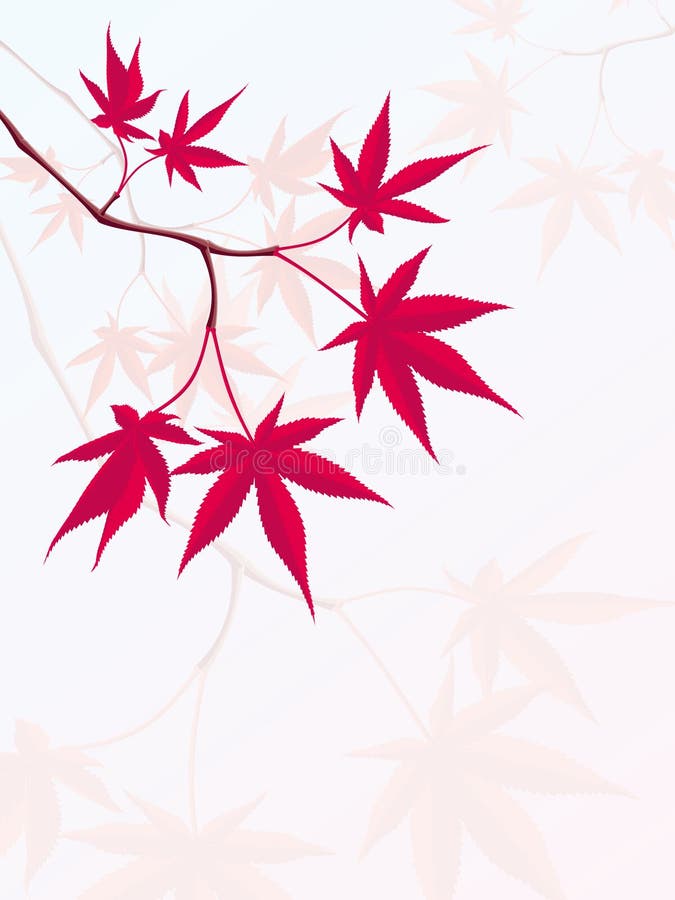 A vector Illustration of a Japanese Maple branch. A vector Illustration of a Japanese Maple branch