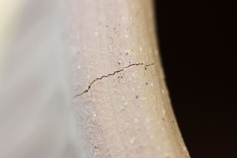 Bordo superior de um recipiente de argila vermelha com fendas devido a secagem rápida e sulcos demasiado profundos devido à decor fotografia de stock Bordo superior de um recipiente de argila vermelha com fendas devido a secagem rápida e sulcos demasiado profundos devido à decor fotografia de stock