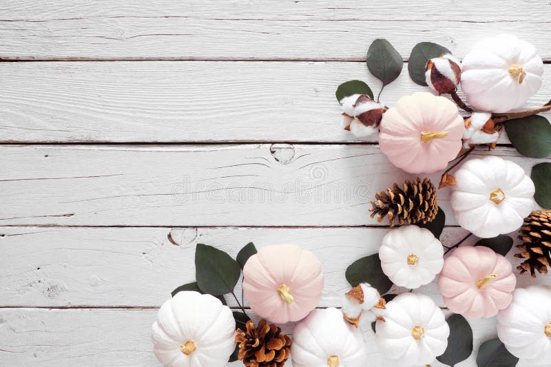 Fall corner border of dusty rose and white pumpkins and eucalyptus leaves over a white wood background. Top view with copy space. Fall corner border of dusty rose and white pumpkins and eucalyptus leaves over a white wood background. Top view with copy space