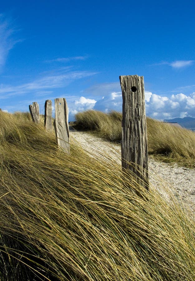 All that is left of a wooden Fence marking a pathway on Llanddwyn Island, of the coast of Anglesey in the UK. All that is left of a wooden Fence marking a pathway on Llanddwyn Island, of the coast of Anglesey in the UK.