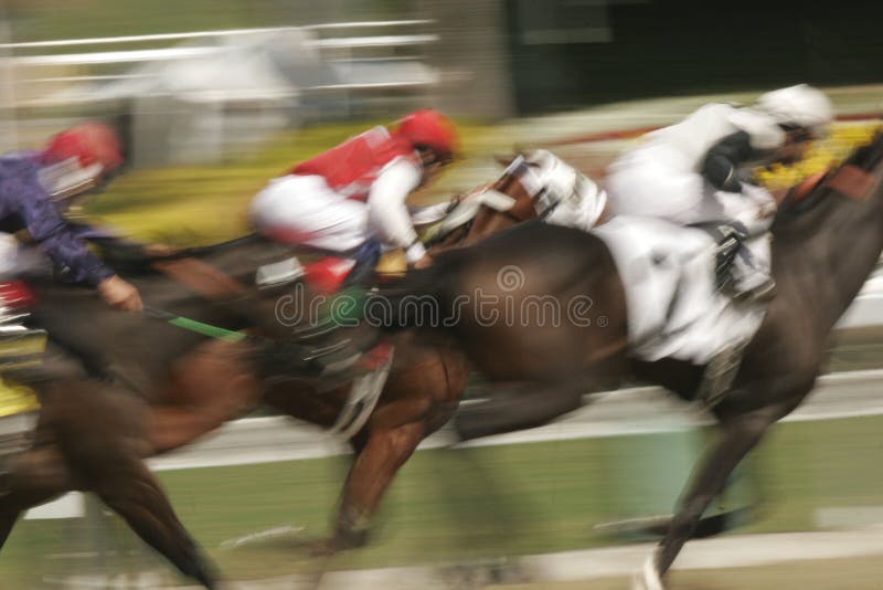 Desfoque de movimento de cavalos de corrida fotografia de stock royalty free