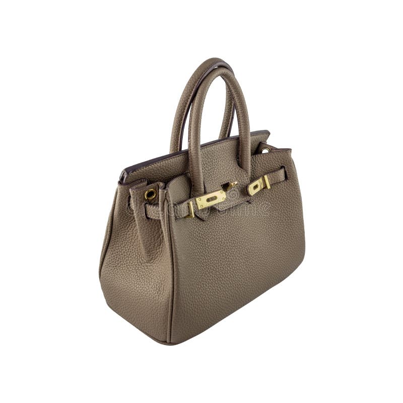 Download Borsa Del Cuoio Del ` S Delle Donne Alla Moda Isolata Fotografia Stock - Immagine di signora, mano: 117975468