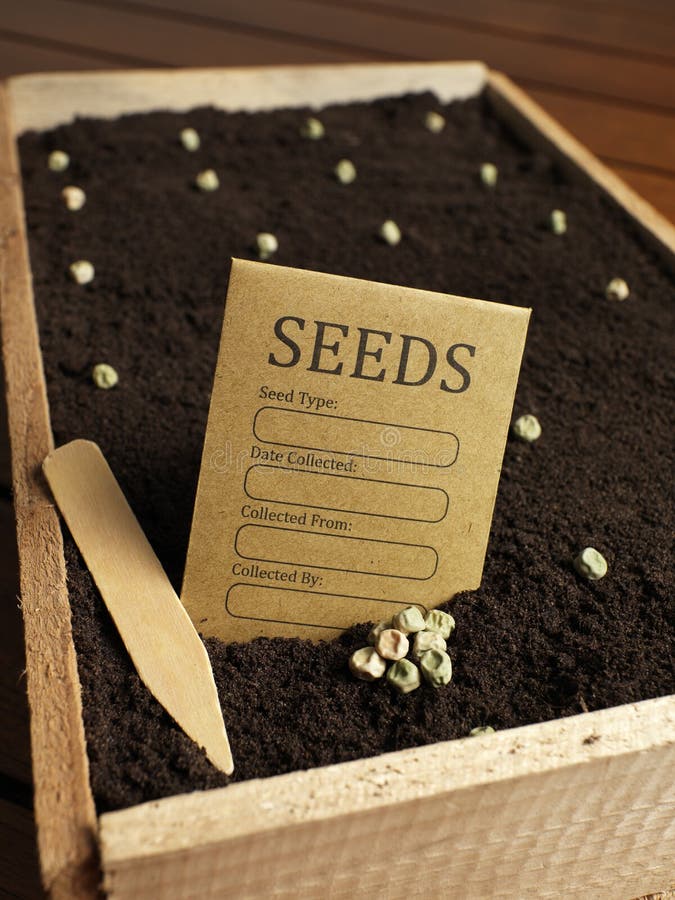 Borsa del seme del giardino con i semi