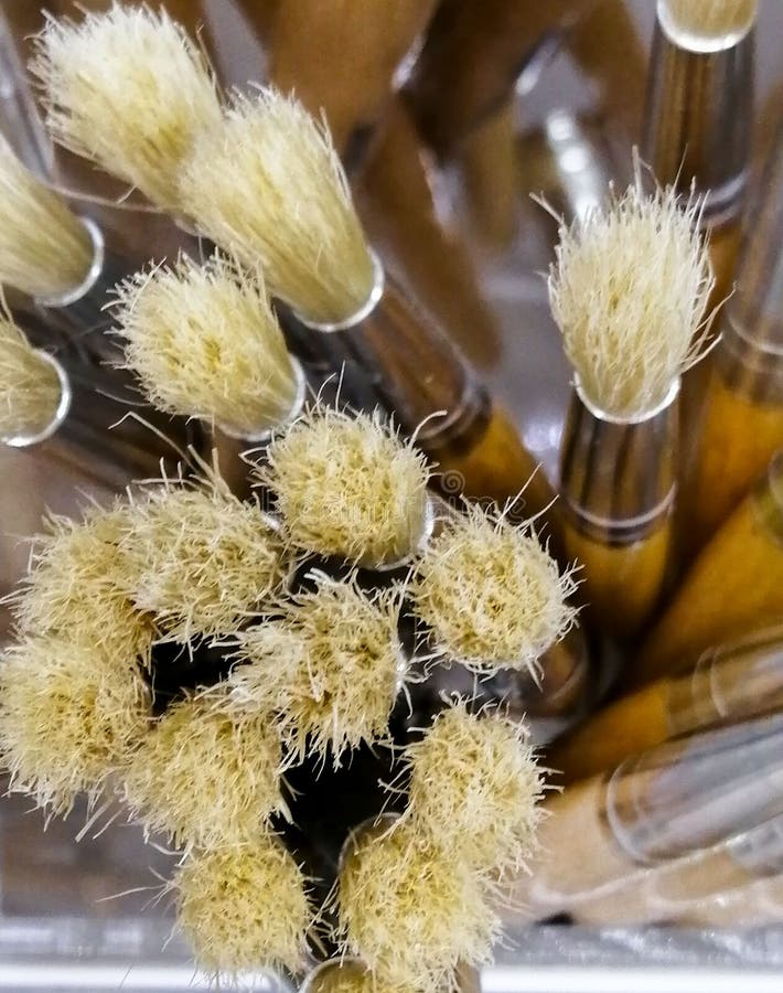 Borstels voor de verkoop van de kunstenaarswinkel stock afbeelding Borstels voor de verkoop van de kunstenaarswinkel stock afbeelding