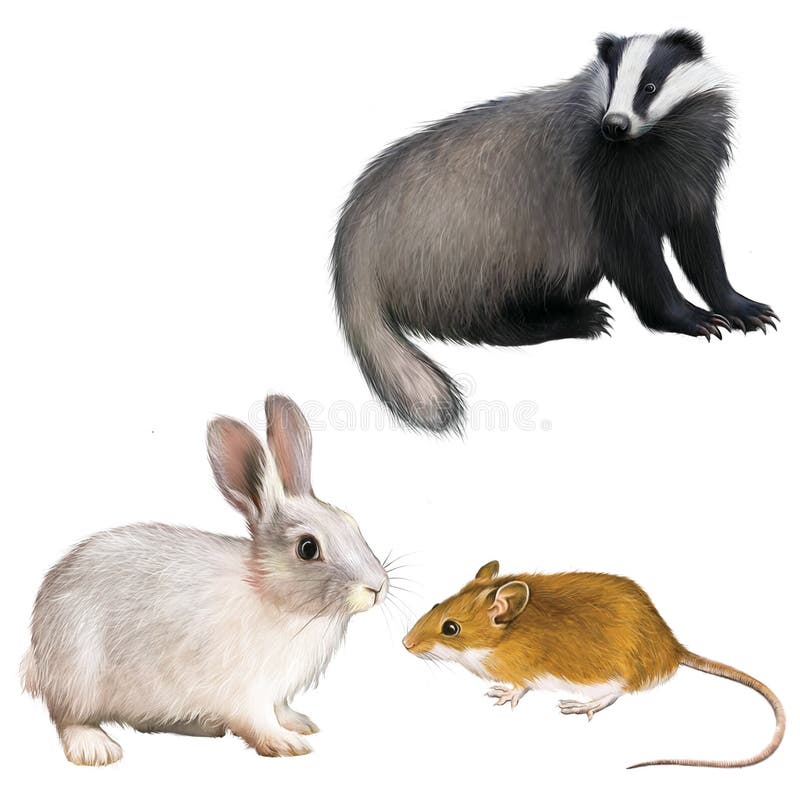 Borsuk, królik i mysz, royalty ilustracja Borsuk, królik i mysz, royalty ilustracja