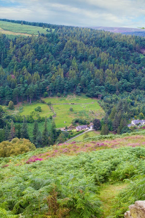 Bos en berglandschap Glendaloughvallei in Provincie Wicklow, Ierland royalty-vrije stock foto Bos en berglandschap Glendaloughvallei in Provincie Wicklow, Ierland royalty-vrije stock foto