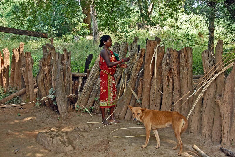 Bos Inwoners van India royalty-vrije stock foto Bos Inwoners van India royalty-vrije stock foto