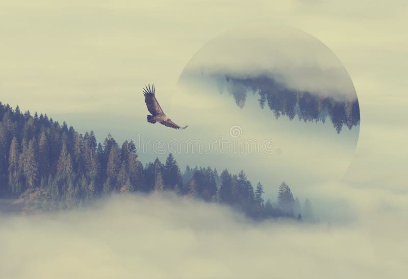 Mystical autumn forest on the mountain slope. Geometric reflections effect. Mystical autumn forest on the mountain slope. Geometric reflections effect