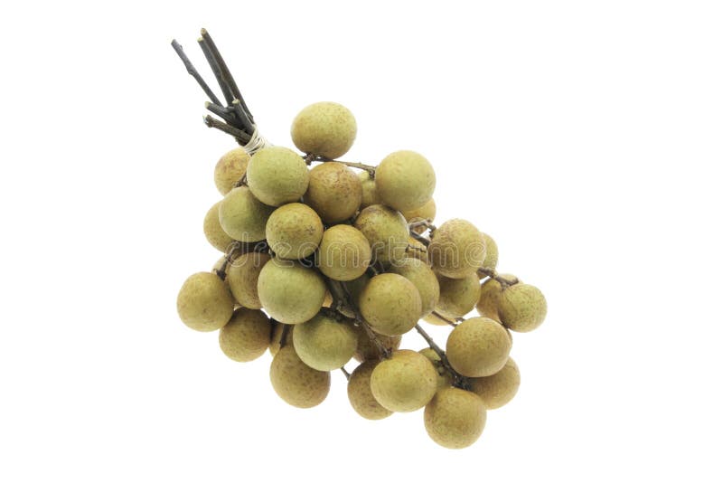 Bos van Longans royalty-vrije stock foto's