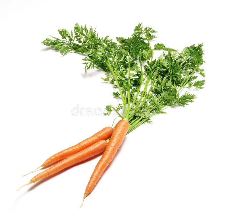 Bunch of carrots on white with shadow. Bunch of carrots on white with shadow