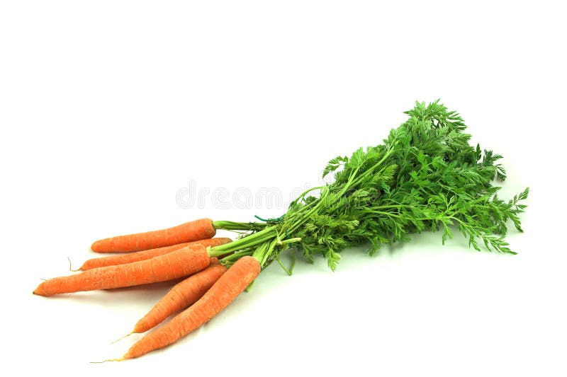 Bunch of carrots isolated over white. Bunch of carrots isolated over white.