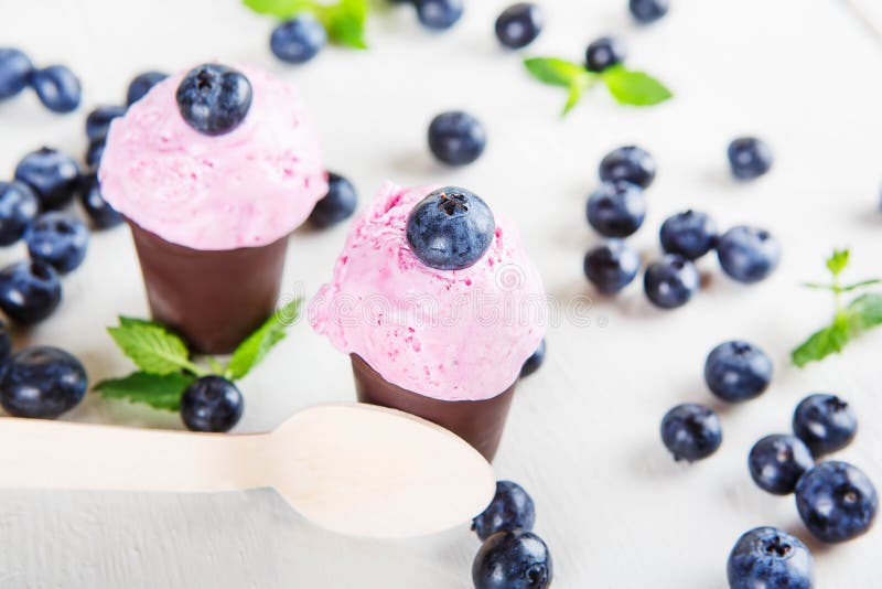 Bosbessenroomijs of bevroren yoghurt en twijg van munt, met fre stock afbeelding Bosbessenroomijs of bevroren yoghurt en twijg van munt, met fre stock afbeelding