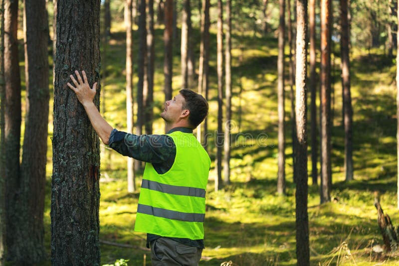 Bosbouw en beheer van hernieuwbare hulpbronnen voor de controle van de kwaliteit van de boom