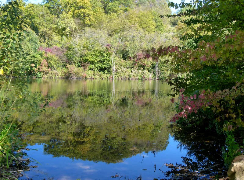Bosmeer met de herfstbomen op de kust en hun gedachtengang in het water royalty-vrije stock foto Bosmeer met de herfstbomen op de kust en hun gedachtengang in het water royalty-vrije stock foto