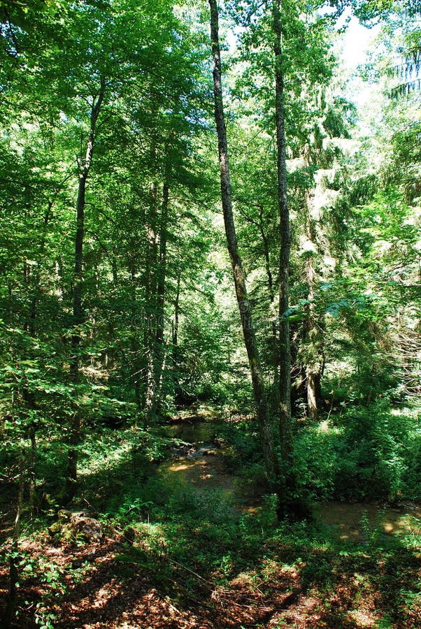 shop die verdammten der taiga