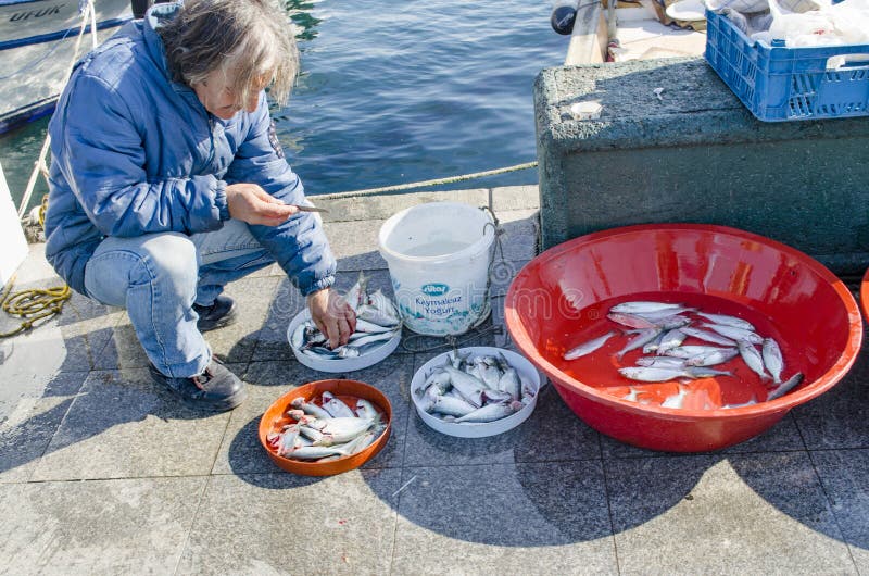Bosphorus d'Istanbul, canne à pêche avec la chasse de poissons images stock Bosphorus d'Istanbul, canne à pêche avec la chasse de poissons images stock
