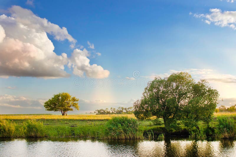Bosque de la naturaleza del paisaje del árbol del verano del cielo del río imagen de archivo libre de regalías Bosque de la naturaleza del paisaje del árbol del verano del cielo del río imagen de archivo libre de regalías