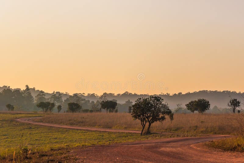 Bosque de la sabana en el tiempo de la puesta del sol foto de archivo libre de regalías Bosque de la sabana en el tiempo de la puesta del sol foto de archivo libre de regalías