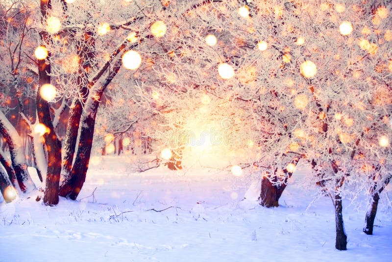 Bosque del invierno con los copos de nieve coloridos Árboles nevados con las luces de la Navidad Fondo del país de las maravillas