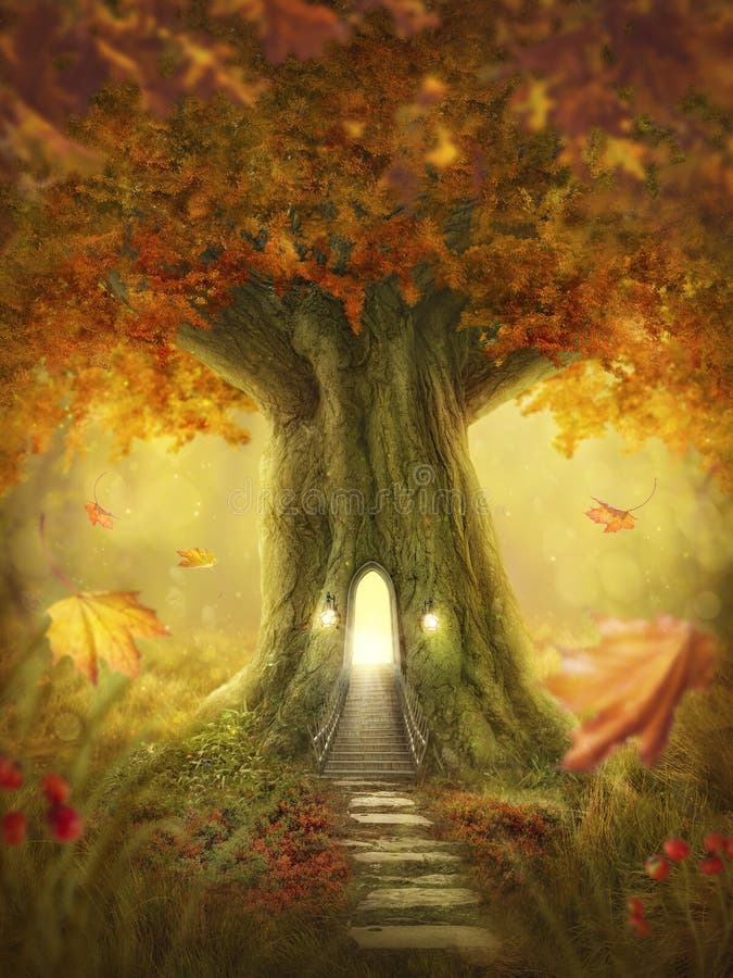 Bosque encantado foto de archivo. Imagen de misterioso 34065824