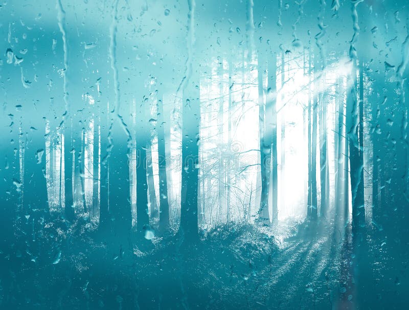 Bosque matutino a través del vidrio de la ventana en la lluvia. Fondo del otoño de vidrio húmedo fotografía de archivo libre de regalías Bosque matutino a través del vidrio de la ventana en la lluvia. Fondo del otoño de vidrio húmedo fotografía de archivo libre de regalías
