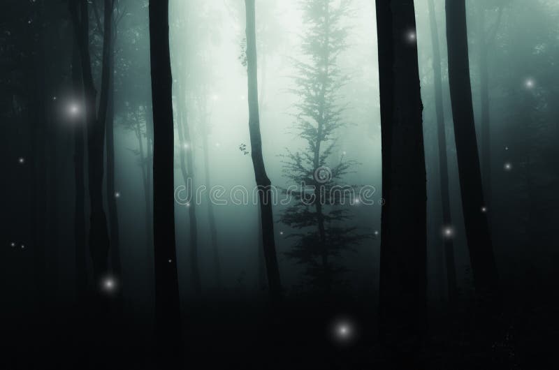 Magical fairy tale forest with lights and fog. Enchanted fantasy woods with strange magical lights through the fog. Magical fairy tale forest with lights and fog. Enchanted fantasy woods with strange magical lights through the fog