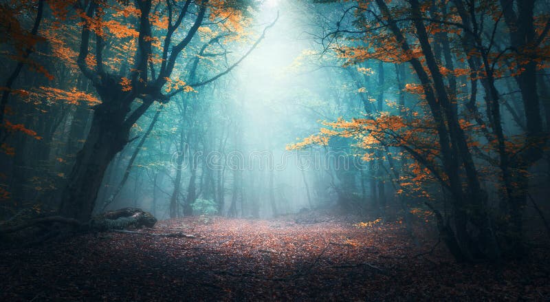 Bosque místico en niebla azul en otoño Paisaje colorido fotos de archivo libres de regalías Bosque místico en niebla azul en otoño Paisaje colorido fotos de archivo libres de regalías