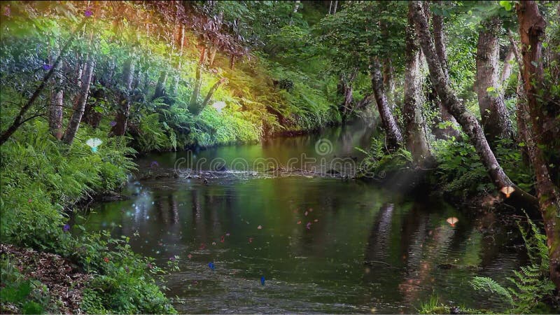 Bosque y arroyuelo encantados